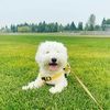 phoebe819